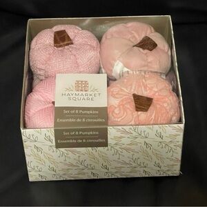 Haymarket Square Pink Pumpkin Bowl Filler SET of 8